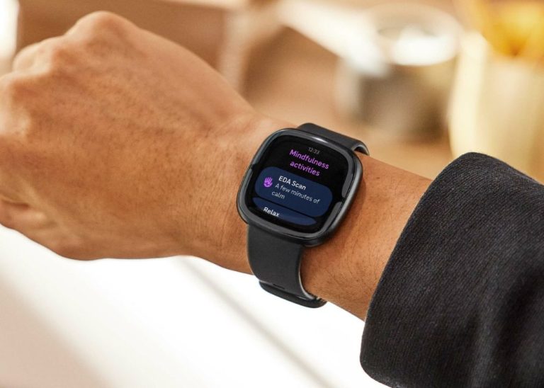 fitbit vs reality