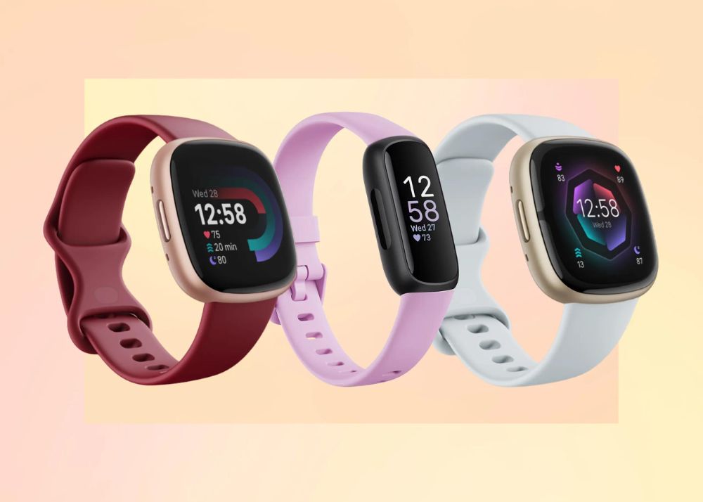 introducing fitbit